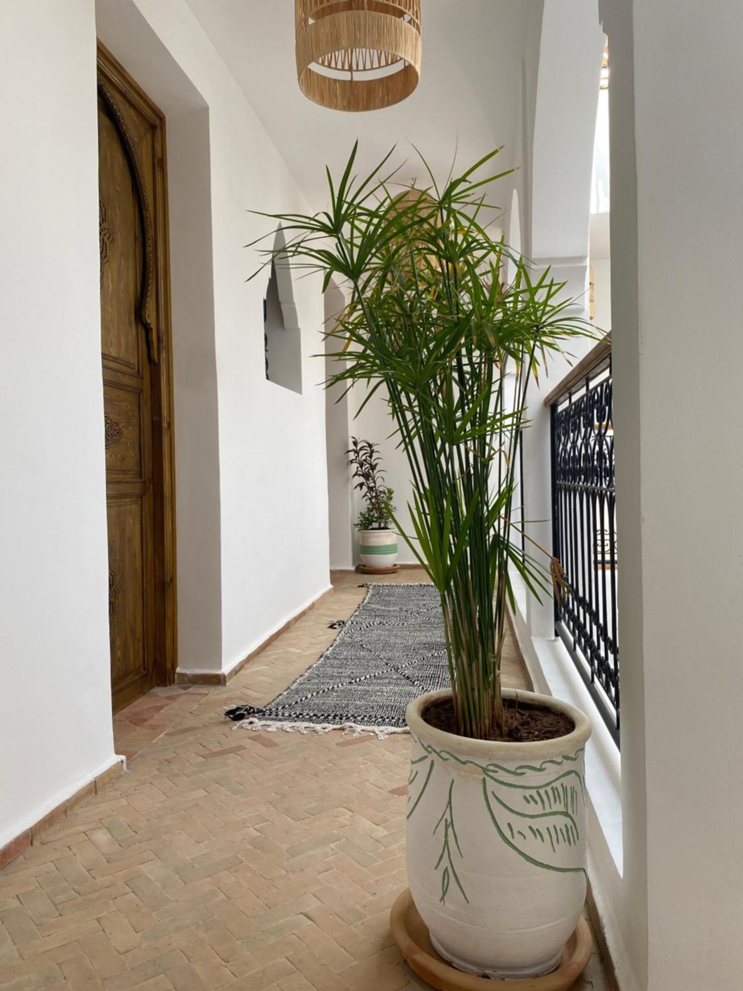 Riad & Spa Sous Le Soleil Chez Jerome Et Pamela Ch Zen Marrakesh Luaran gambar